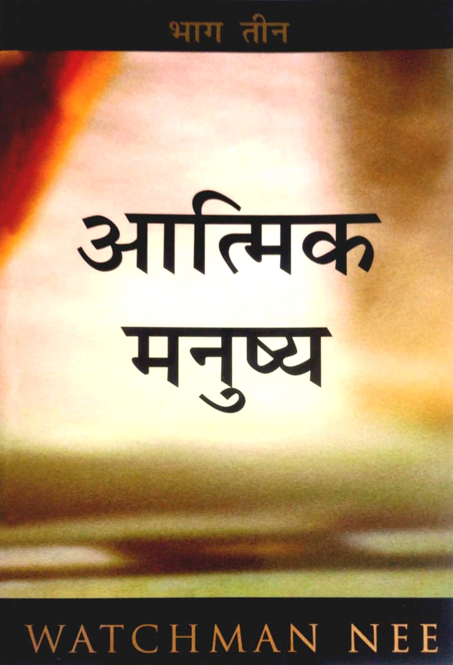 Aatmik Manushya Bhag 3 / आत्मिक मनुष्य (भाग - 3)