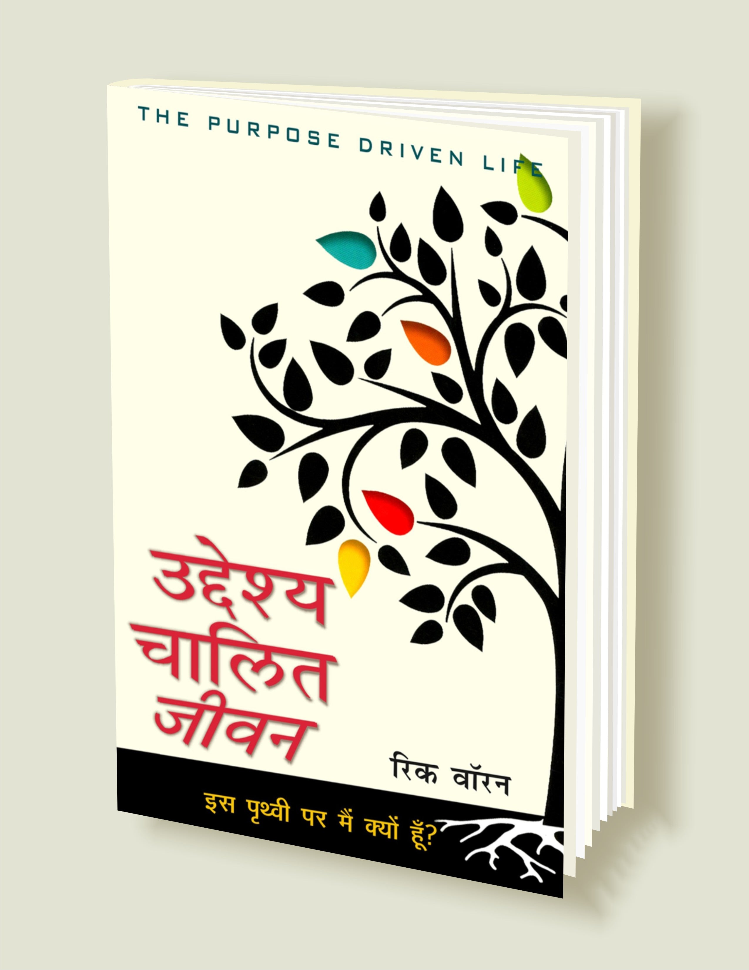 उद्देश्य चालित जीवन (इस पृथ्वी पर मैं क्यों हूँ ?) / The Purpose Driven Life (Hindi)