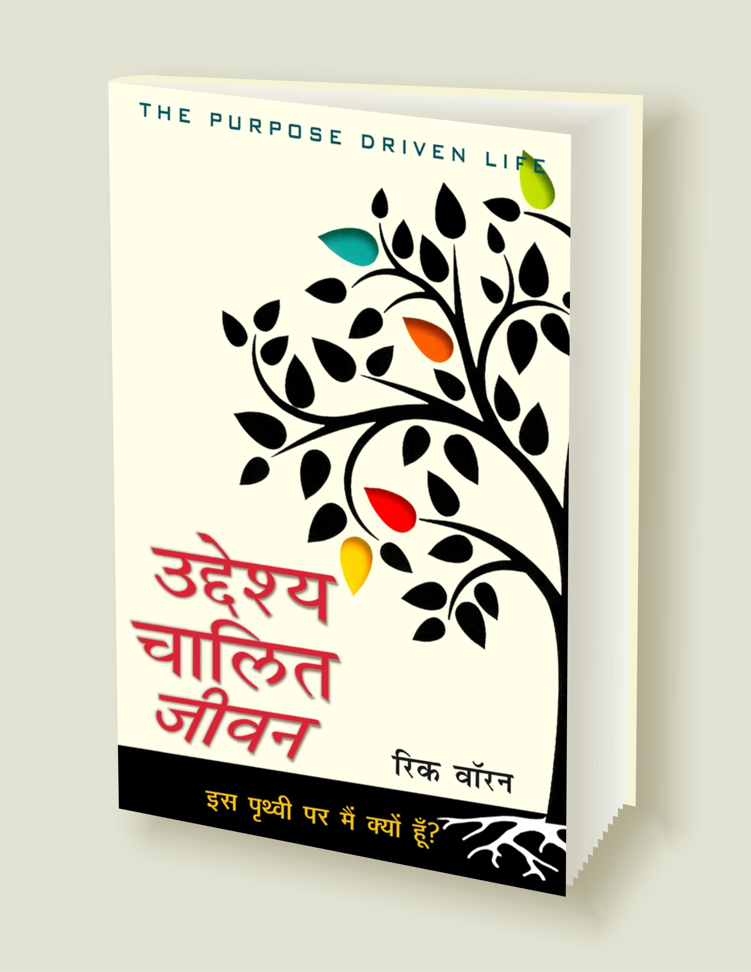 उद्देश्य चालित जीवन (इस पृथ्वी पर मैं क्यों हूँ ?) / The Purpose Driven Life (Hindi)