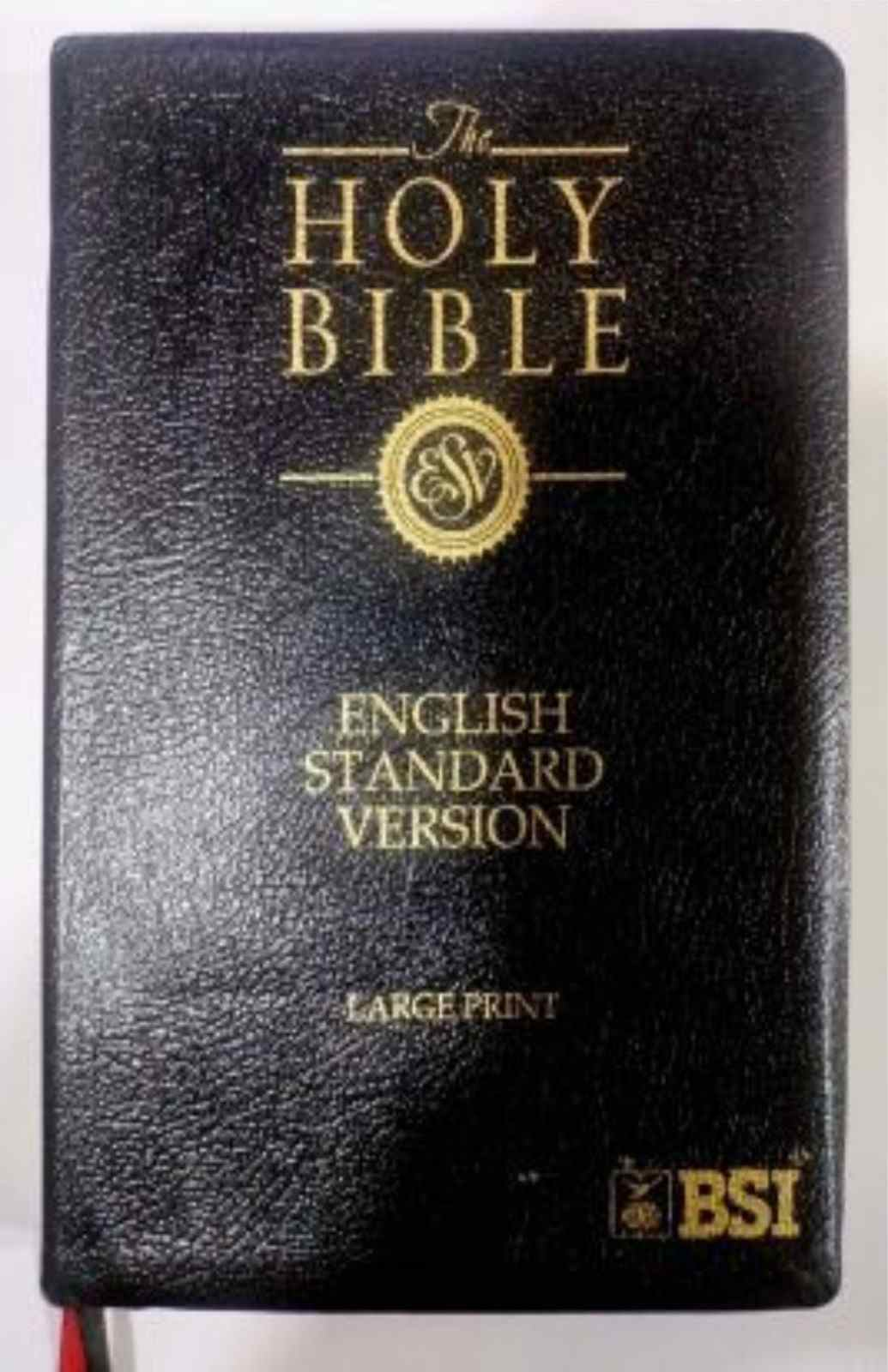Holy Bible Large Print (ESV) | Bible Society of India