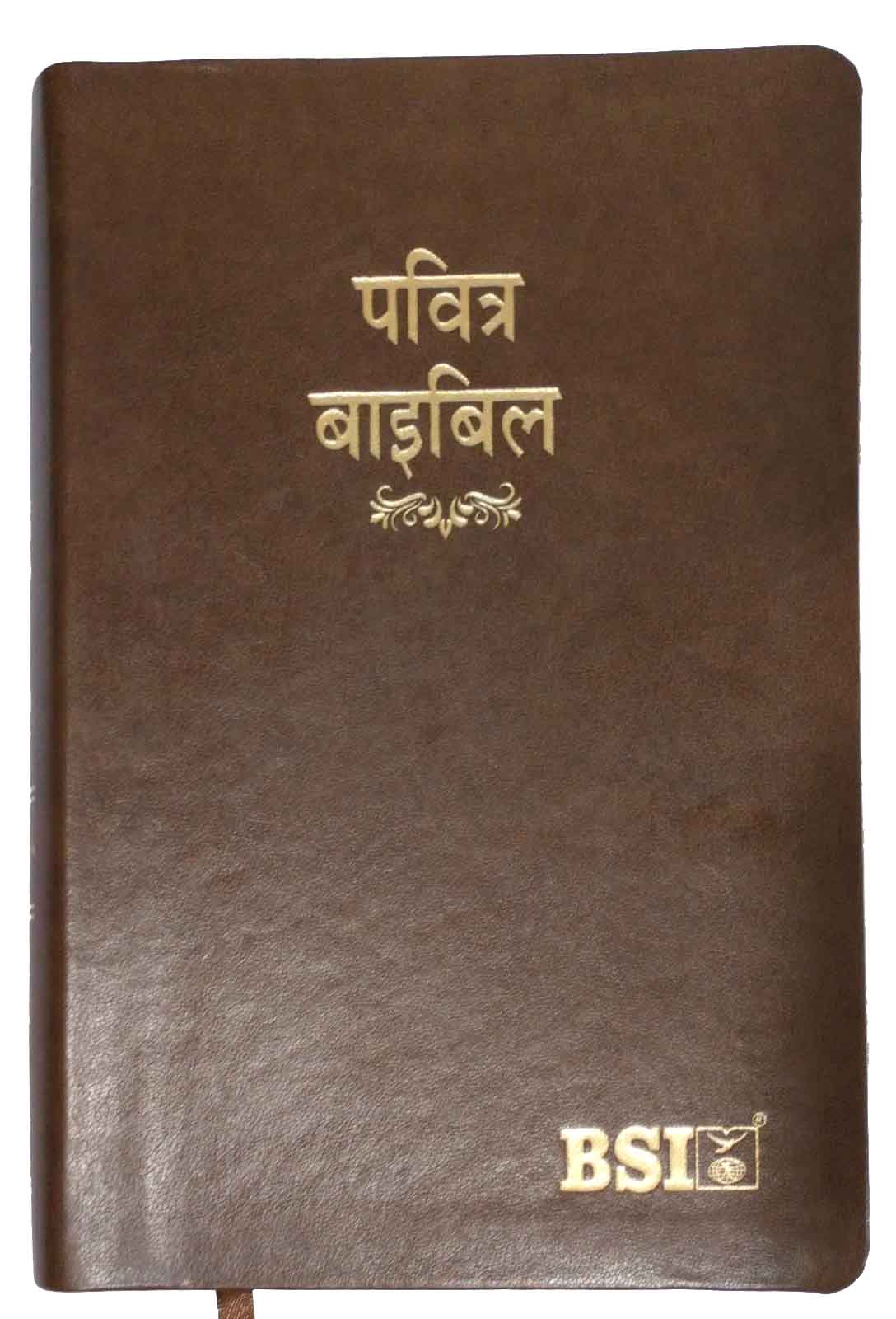 पवित्र बाइबल | Pavitra Bible | Hindi Bible PUL Brown Amity (Index) | Bible Society of India