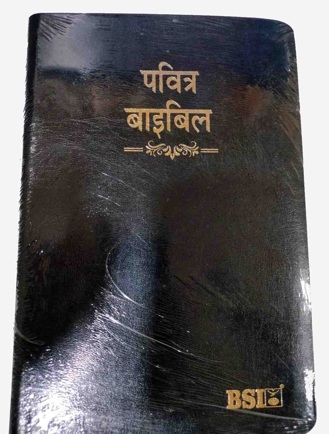पवित्र बाइबल | Pavitra Bible | Hindi Bible O.V. 55TI (R) BL YAPP (KBS) | Bible Society of India