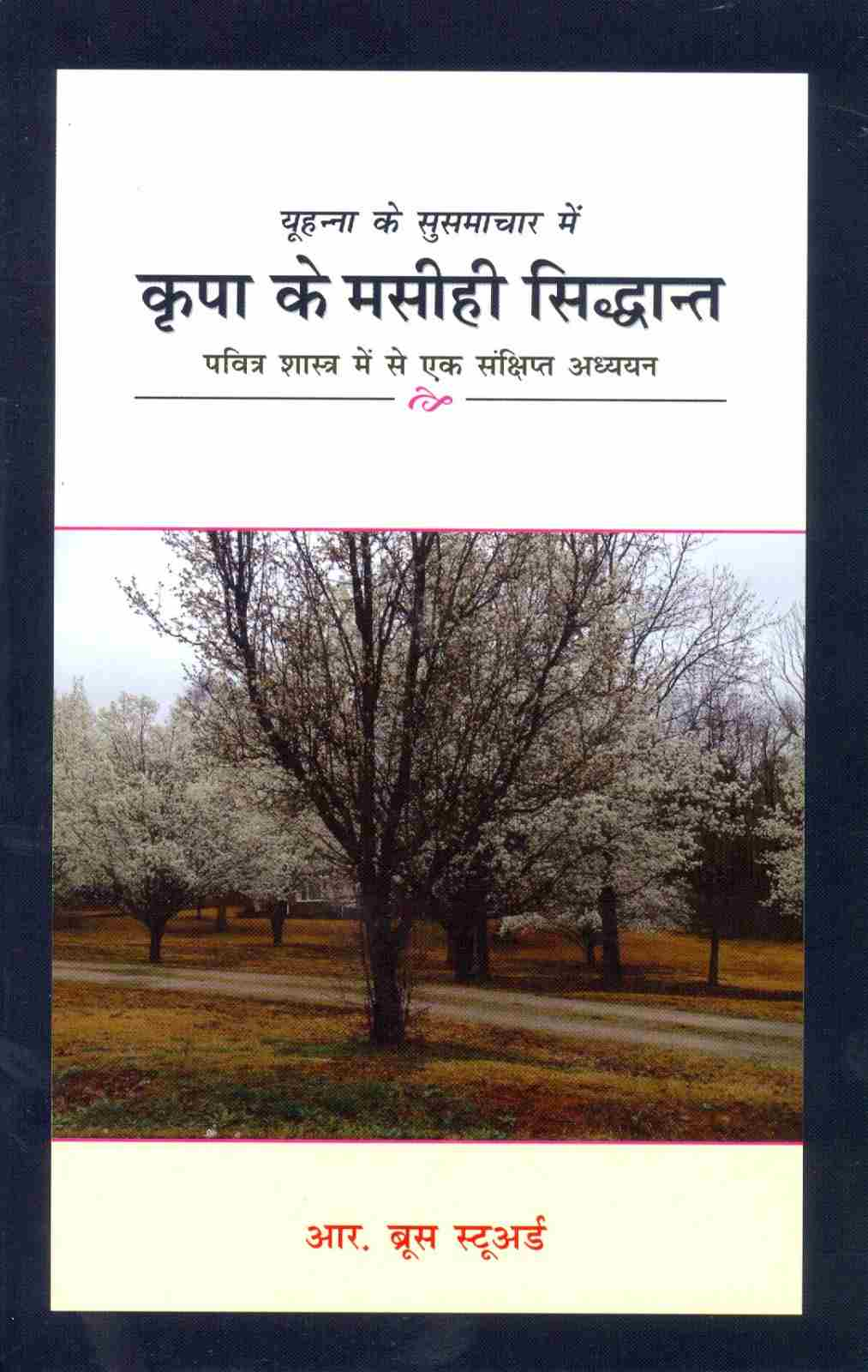 Yuhanna Ke Susamachar Mein Kripa Ke Masihi Siddhant | The Doctrines of Grace in the Gospel of John by R. Bruce Steward