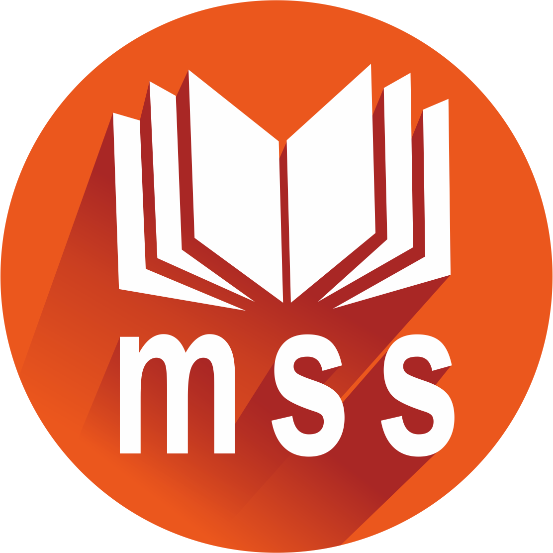 MSS-Bitmap-Image-New.webp